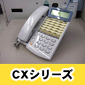 ΩCX꡼ ӥͥۥ