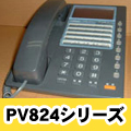 ʥ PV824꡼ ӥͥۥ